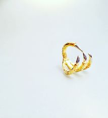ring - yellow gold Au 750 - white gold Au 19 kt